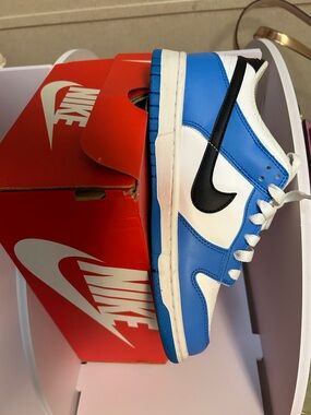 Nike Dunk Sneakers in Blue, White & Black